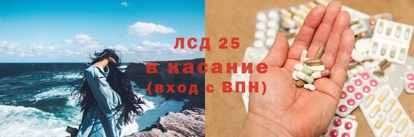 PSILOCYBIN Баксан