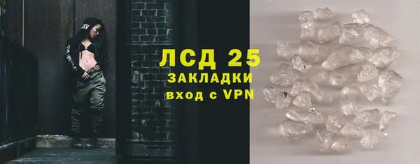 PSILOCYBIN Баксан