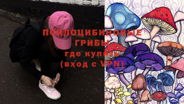 PSILOCYBIN Баксан
