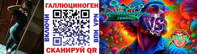 Галлюциногенные грибы Psilocybe  Гороховец 